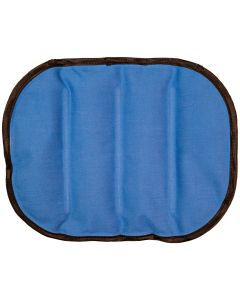 Back Cryo Therapy Gel Pad